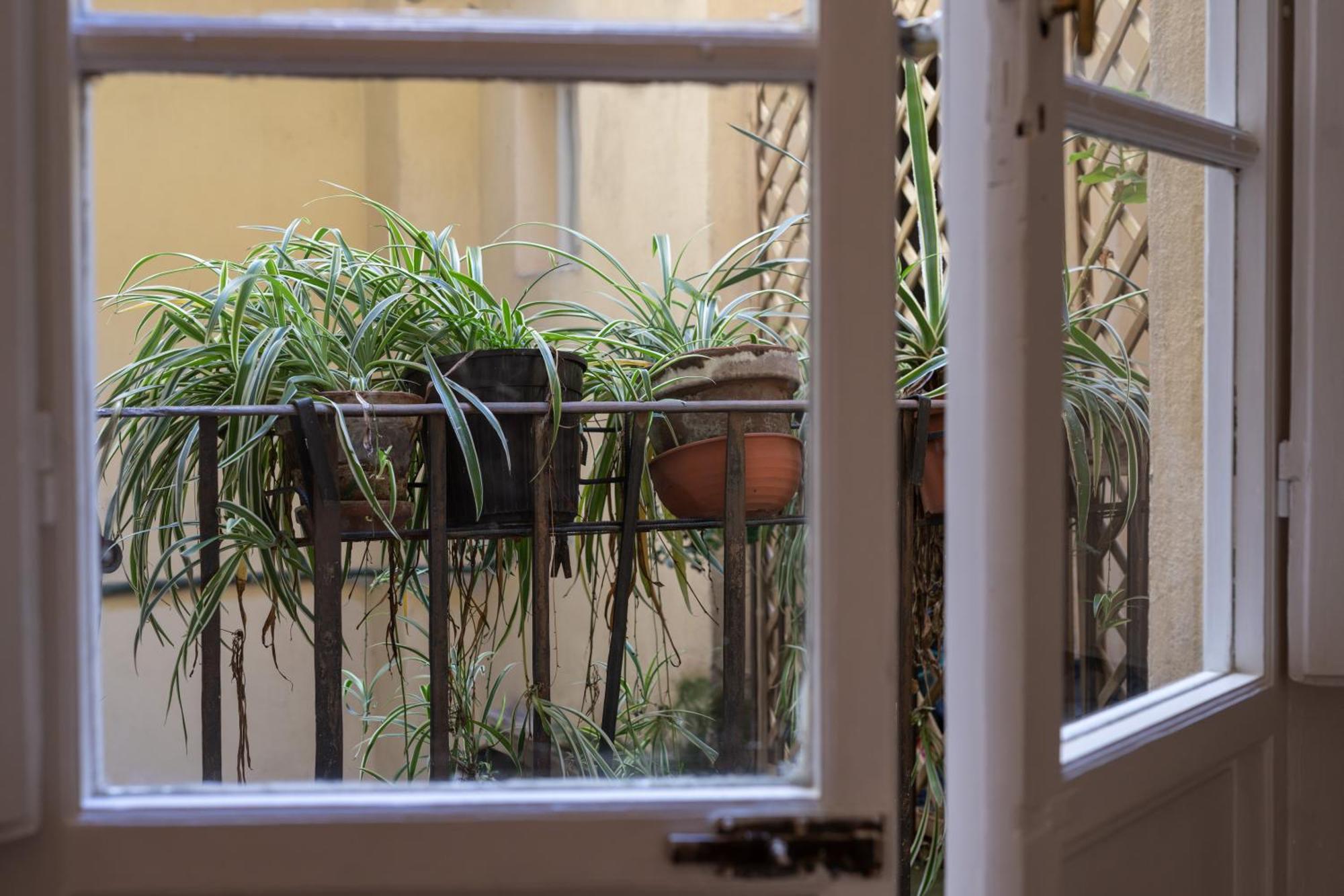 Sant'antonino Cozy Corner Apartamento